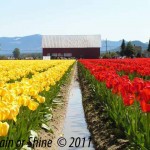 Spring is Here