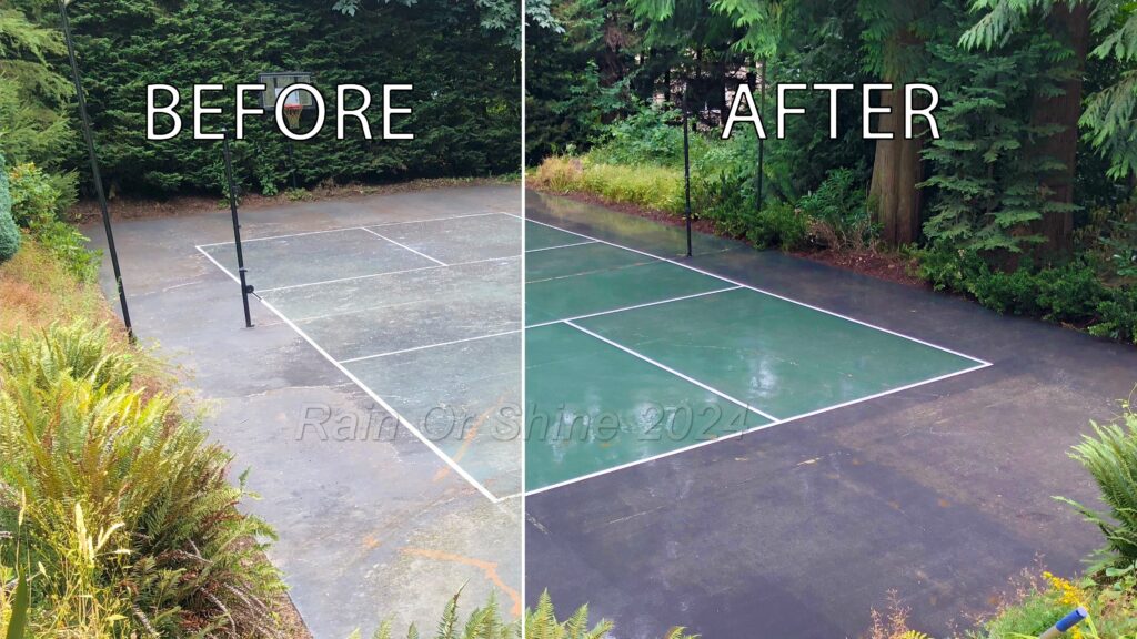 Results after Soft Washing a backyard sport court