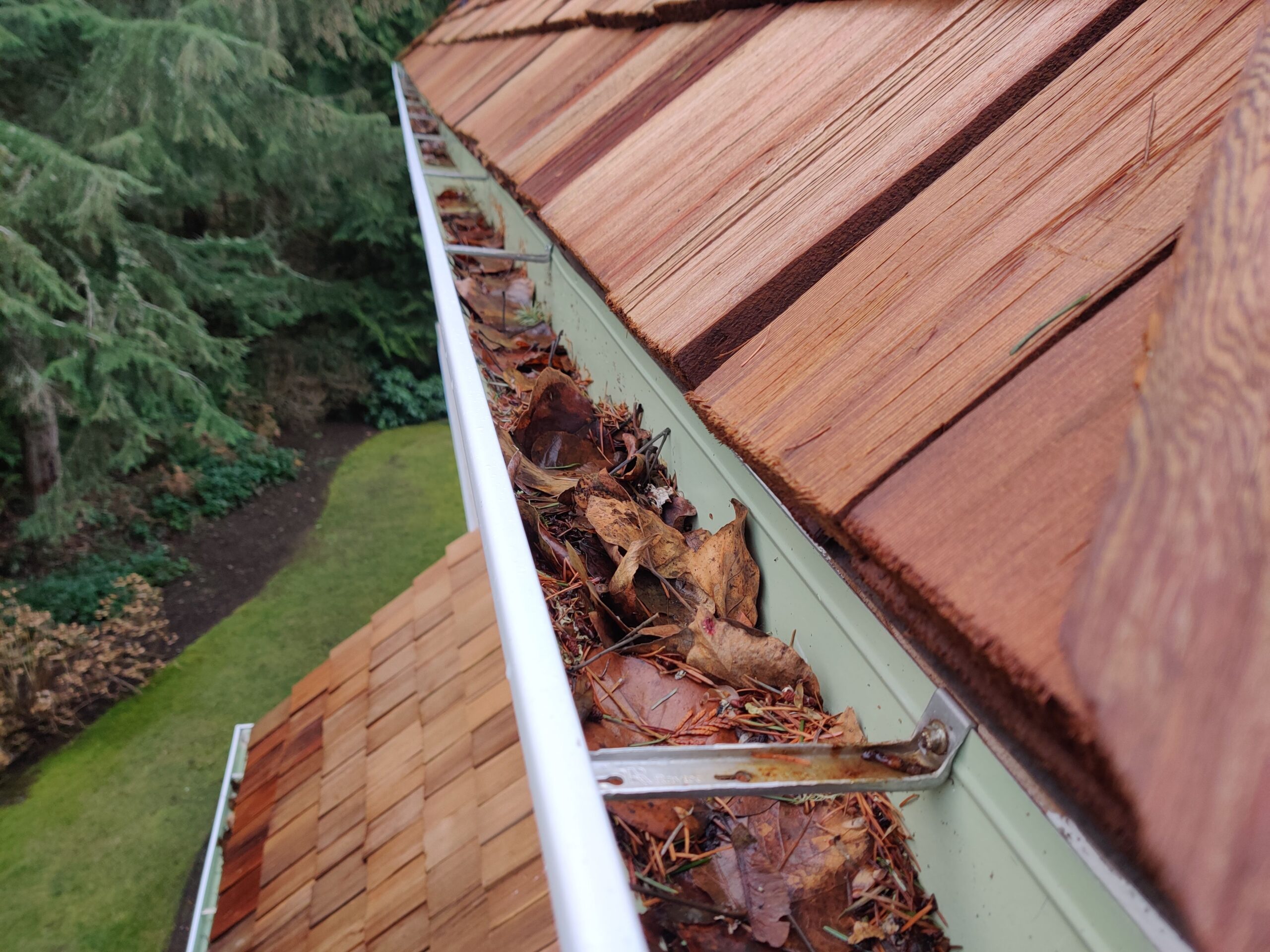 gutter full of debris